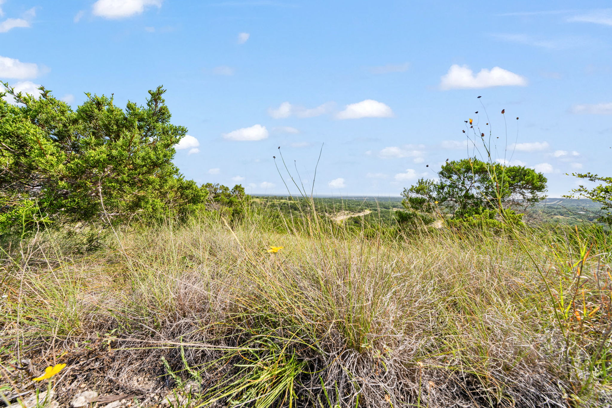RanchesAt Driftwood property view 13