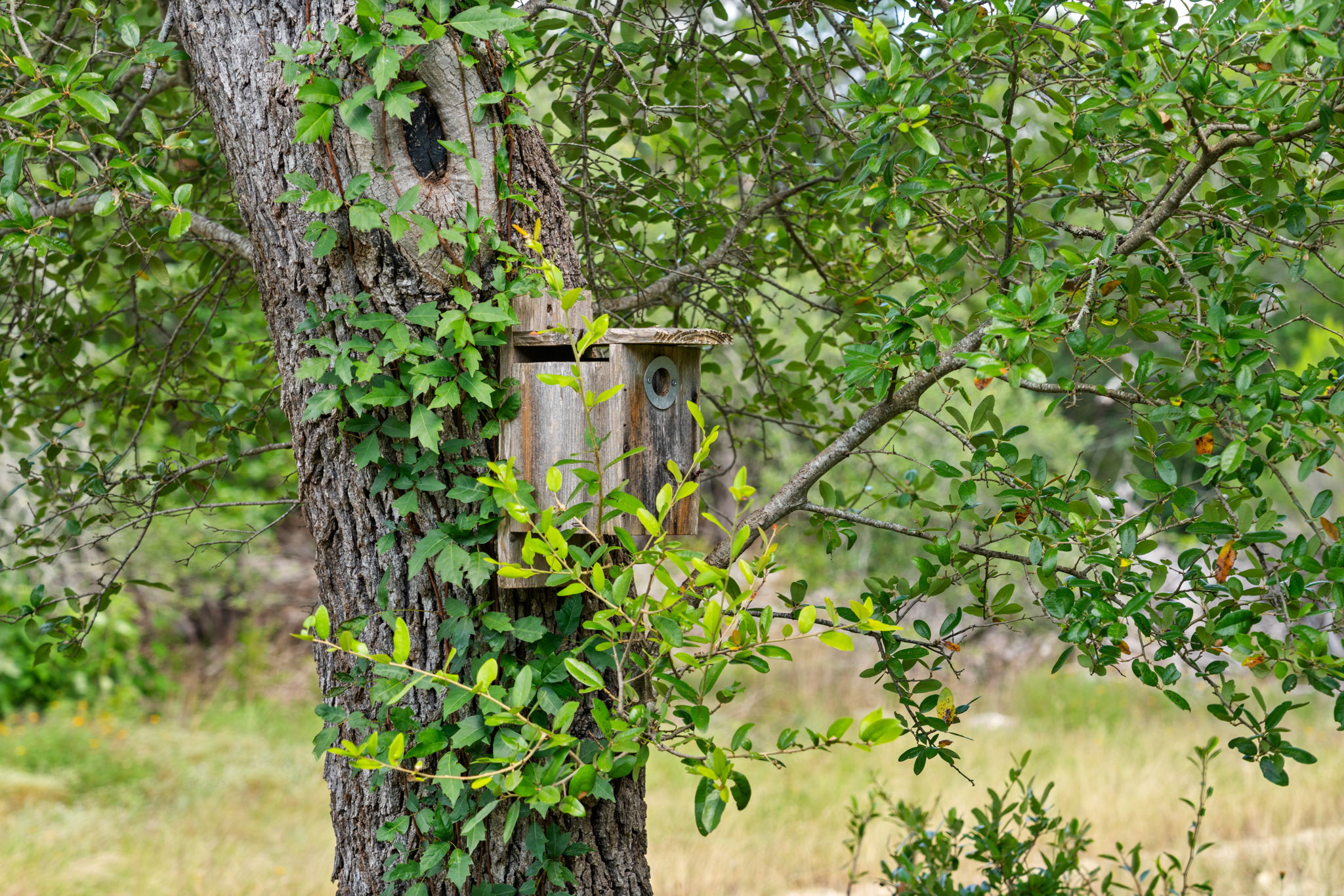 RanchesAt Driftwood property view 26
