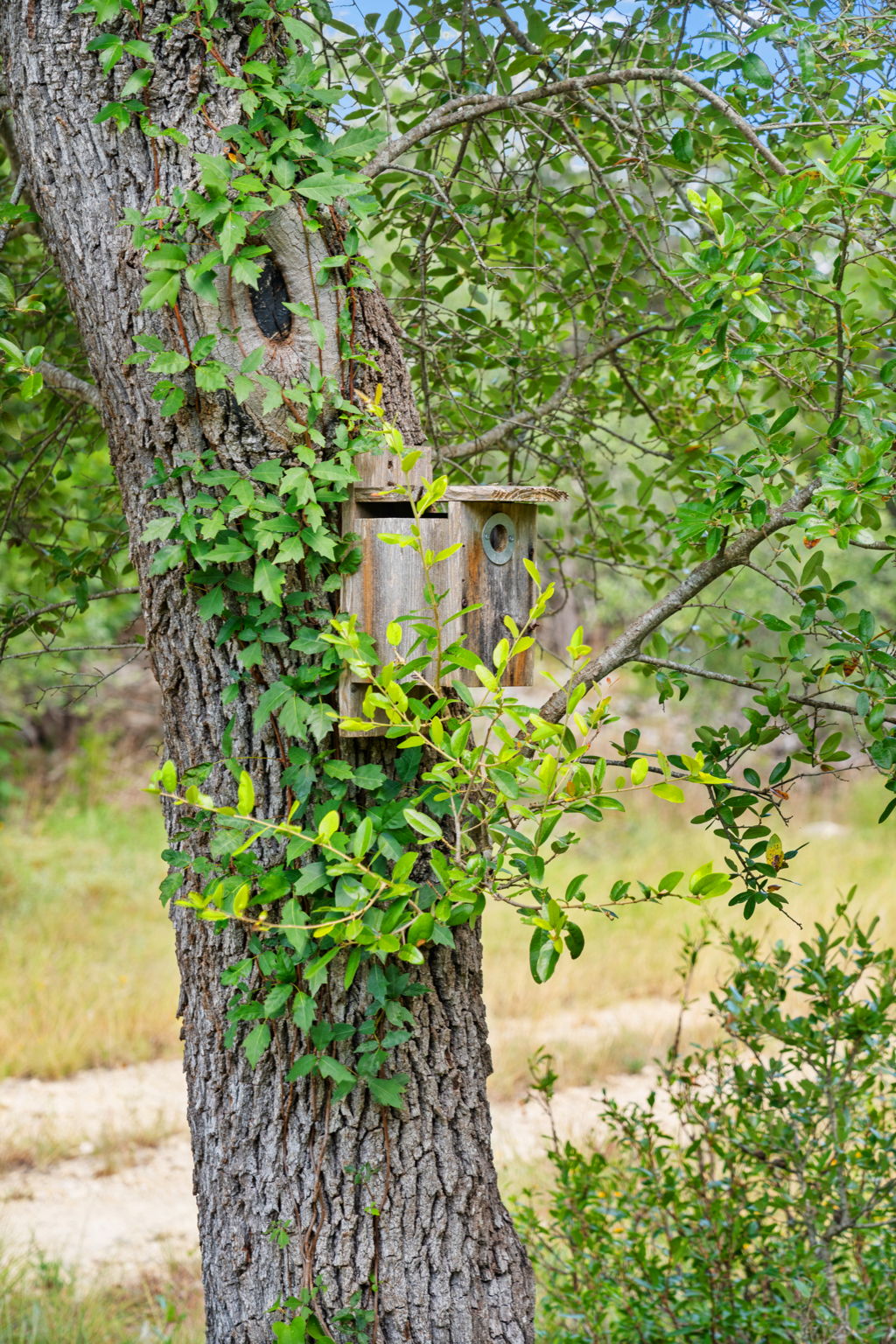 RanchesAt Driftwood property view 27
