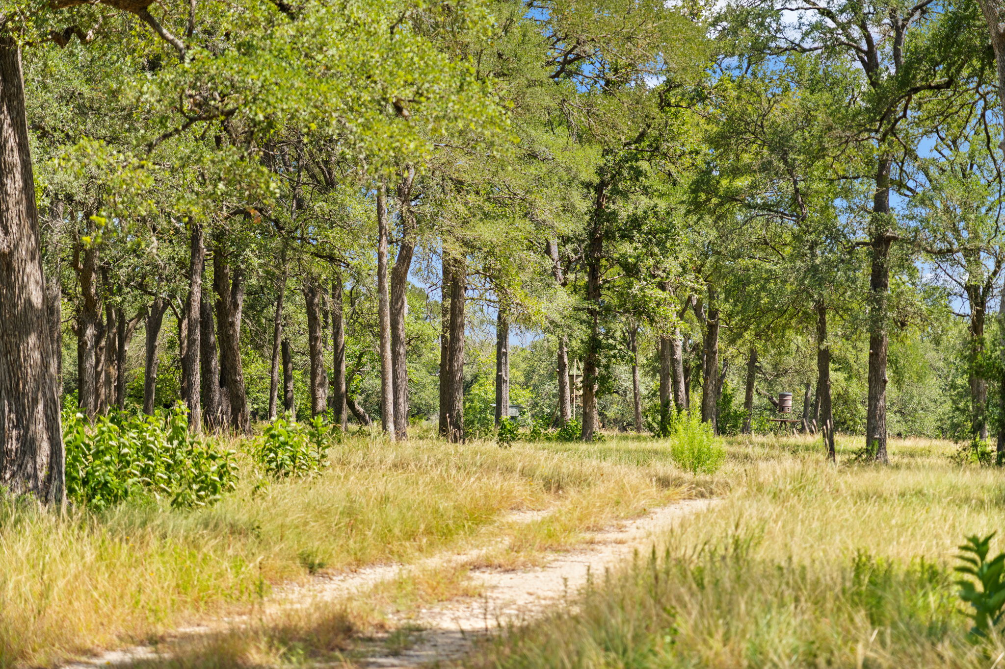 RanchesAt Driftwood property view 32