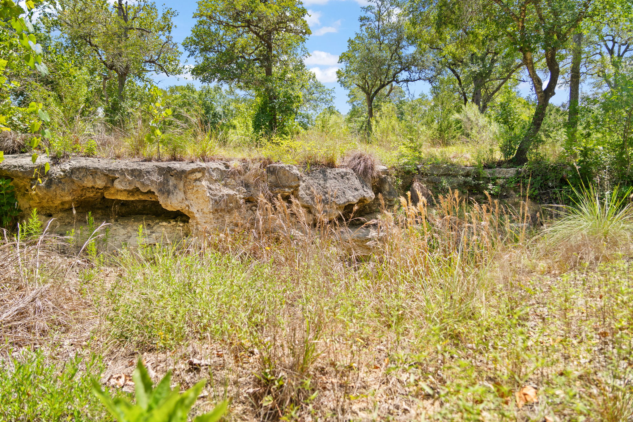 RanchesAt Driftwood property view 36